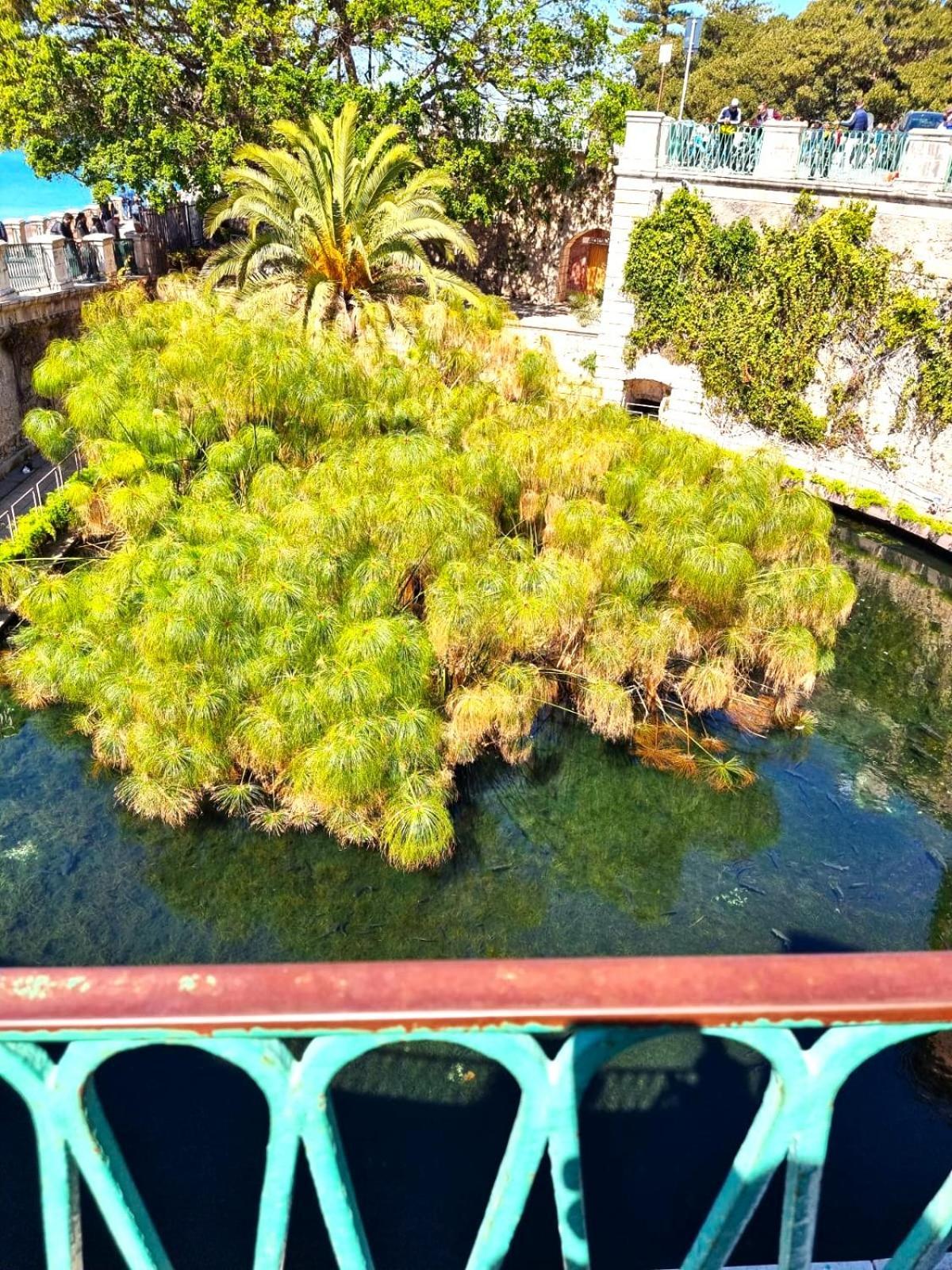 Apartamento Dolce Rame Ortigia Syracuse Exterior foto